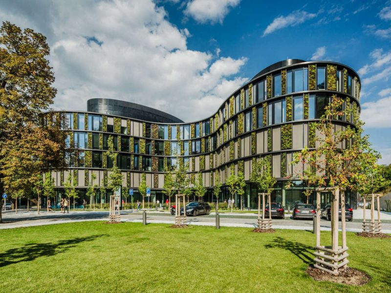 AFI Karlín - Butterfly