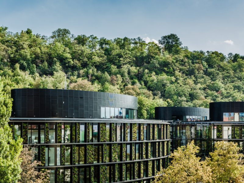 AFI Karlín - Butterfly