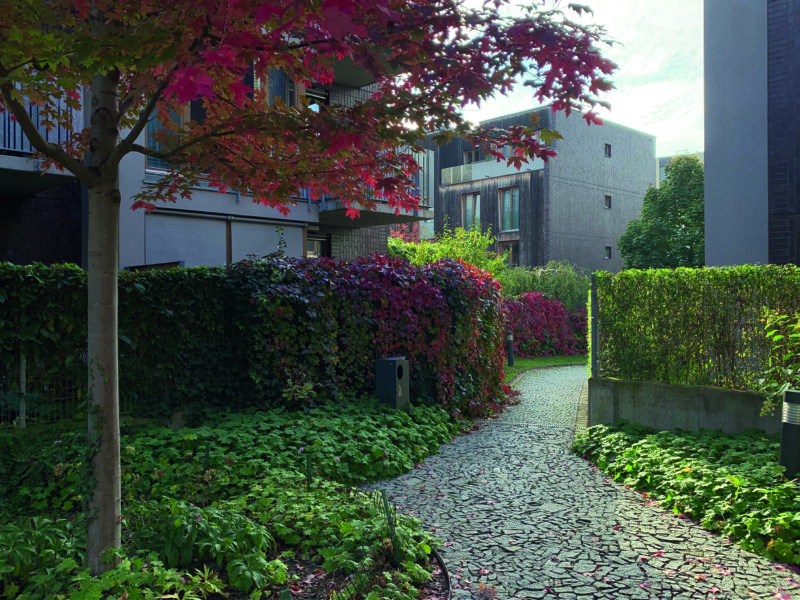 Obytný soubor Na Vackově - Alfarezidence