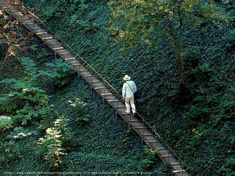 Lávky v Jelením příkopě